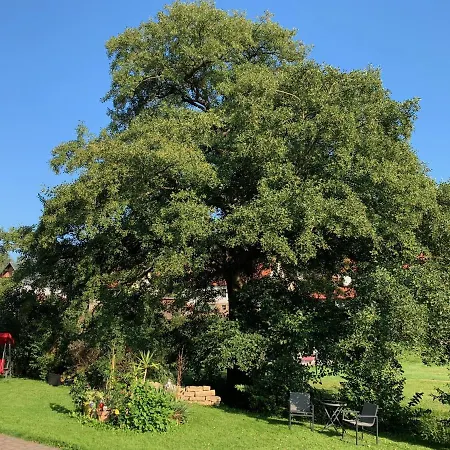 Am Rennsteig Bei Eisenach - Ilona Schmidt Apartmán