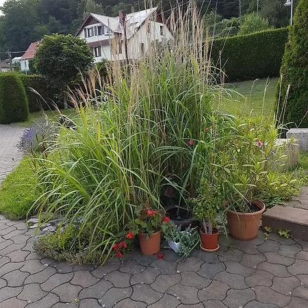 Apartmán Am Rennsteig Bei Eisenach - Ilona Schmidt *